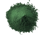 Microalga verde